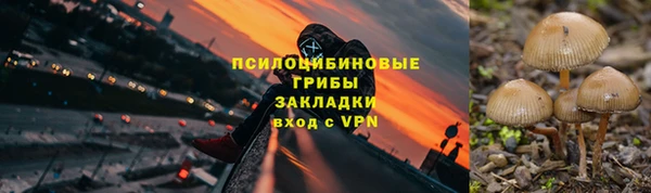 дмт Армянск