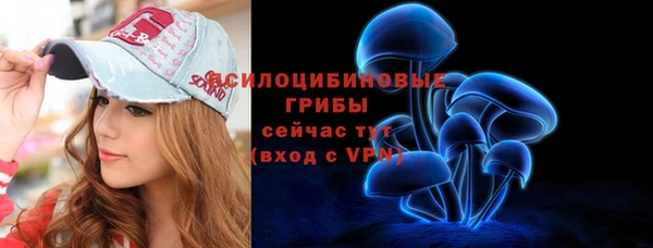 дмт Армянск