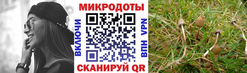 Галлюциногенные грибы ЛСД мега рабочий сайт Тайшет как найти закладки